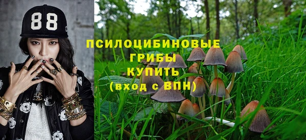 синтетический гашиш Богородицк