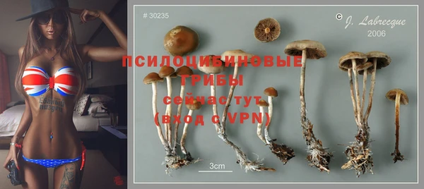синтетический гашиш Богородицк