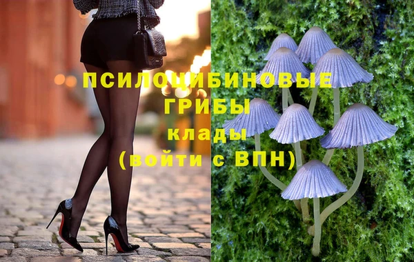 mdpv Белокуриха